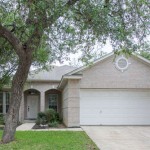 Mature Trees Abound in Shavano Forest