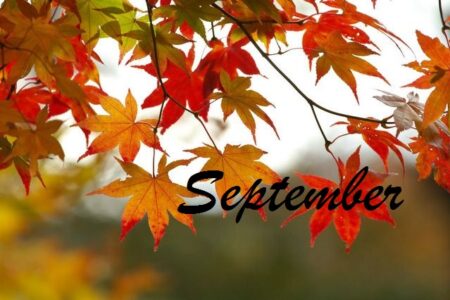 Photo of September Events in Boerne, TX