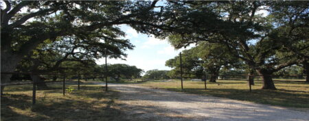 Photo of Unrestricted Land near Boerne, TX