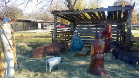 Photo of Mary & Joseph find Comfort in Texas