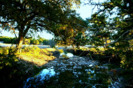 Photo of Guide to Managing Water on Your Land