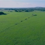 Farm & Ranch Property for Sale in Comfort Texas