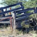 Texas Hill Country Ranch for Sale - Hunting!