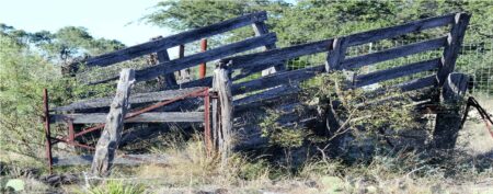 Photo of Texas Hill Country Ranch for Sale – Hunting!