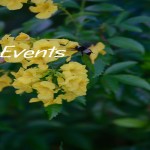 Father's Day Fun in Boerne & More