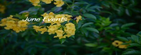 Photo of Father’s Day Fun in Boerne & More