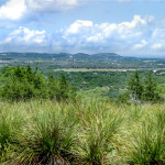 Texas Ranches for Sale Market Update 2-5-18