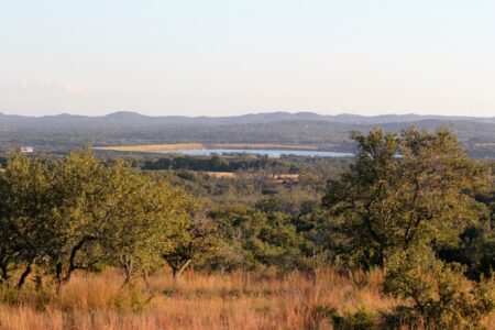 Photo of Texas Ranches for Sale Market Update 2-12-18
