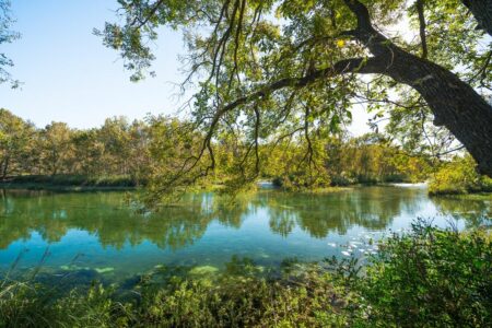 Photo of Texas Ranches Market Update March 12 2018