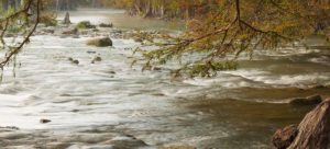 Guadalupe_River-Honey_Creek-IMG_3740-300x136  