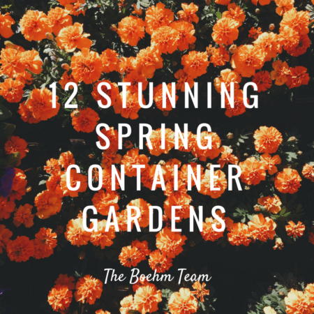 Photo of 12 Stunning Spring Container Gardens
