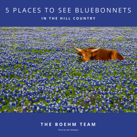 Photo of 5 Great Places in the Hill Country to See Bluebonnets in 2018