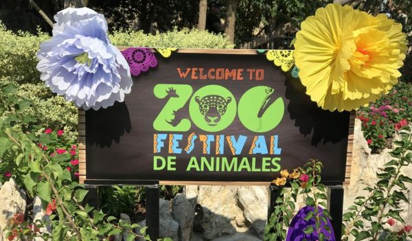 PartnershipEvent_FestivalDeAnimales-600x351  