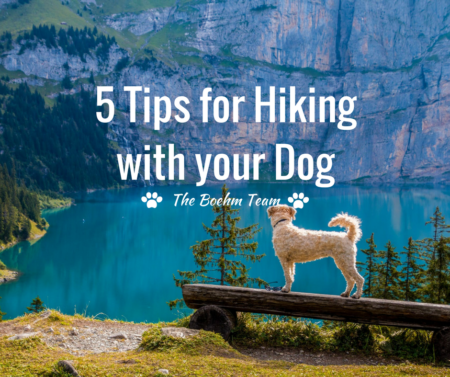 Photo of 5 Tips for Hiking With Your Dog