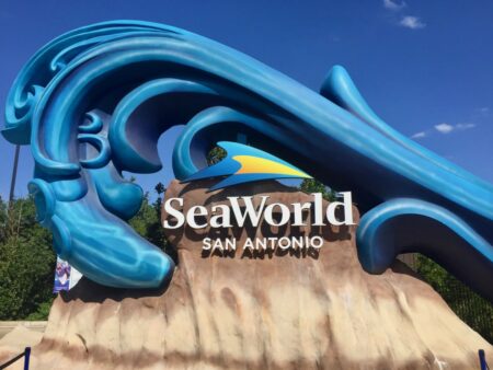 Photo of SeaWorld Supports Active Duty Military Members with it’s Waves of Honor Program