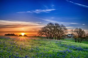 Texas-768x513-300x200  