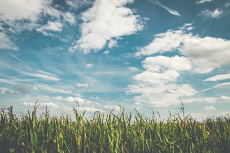 Photo of Essential Tips for Getting Your First Farm or Ranch Loan