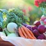 Boerne Fresh: Our Picks from the Farmers Market at the Cibolo