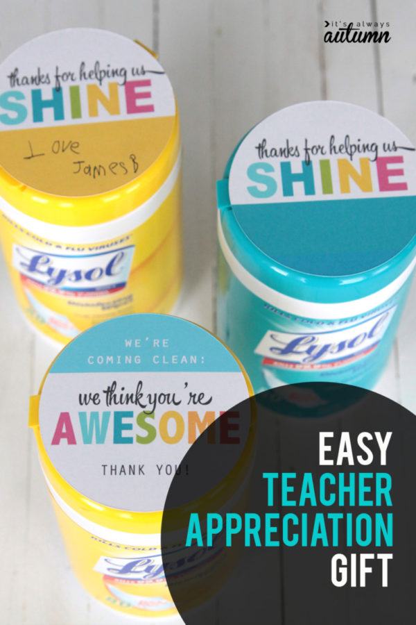 wipes-teacher-gift-600x900  