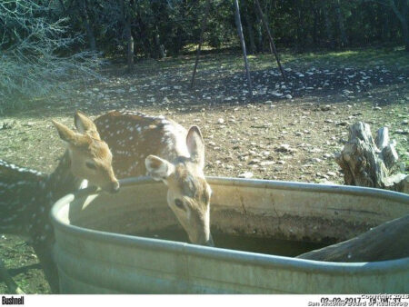 8f78246247e497510e4c33d56fa4a70fl-m20xd-w1020_h770_q80-450x0-c-default  