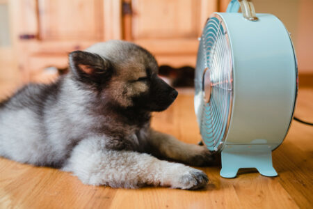 Photo of Everything You Need to Know About Cooling Your Home