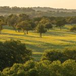 3 Biggest Properties For Sale in Kendall County