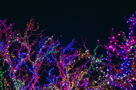 Photo of 2018 Vanguard Christmas Town