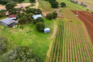 William-Chris-Vineyards-300x200  