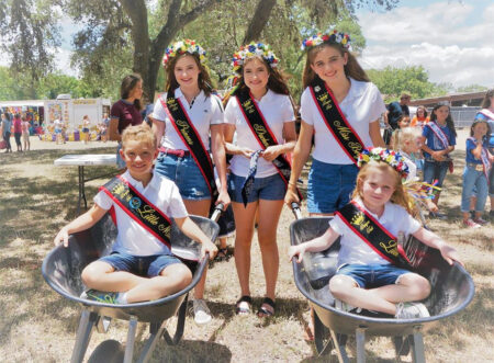 Photo of Boerne Berges Fest