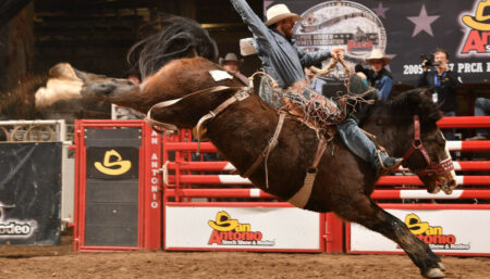 Photo of Your San Antonio Stock Show and Rodeo Guide