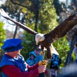 Kerrville Renaissance Festival