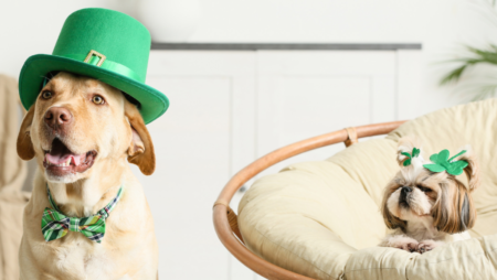 Photo of Where to Celebrate St Patrick’s Day in the Texas Hill Country