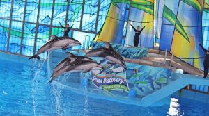 Seaworld-300x167  