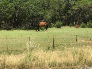 212-FM-3351-Boerne-TX-Pic-12-300x225  