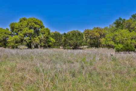 firebirdlane-22-450x0-c-default  