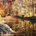 Where to See Fall Foliage in The Texas Hill Country