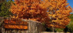 LOST-MAPLES-ENTRANCE-300x136  