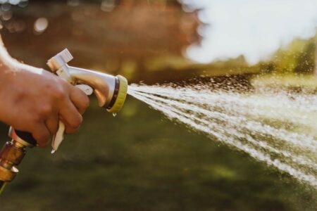 Photo of Watering Your Foundation