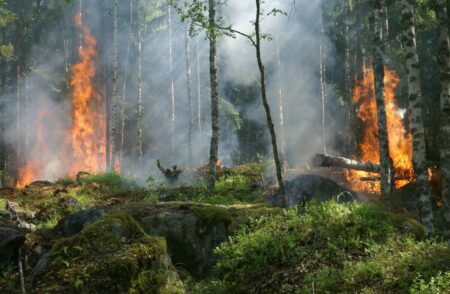 Photo of How to Prepare for a Natural Disaster