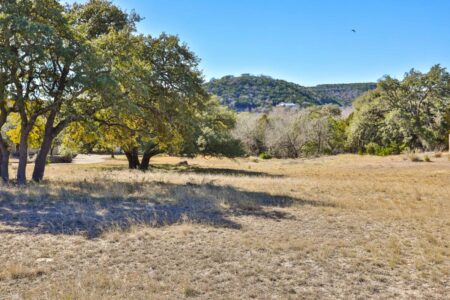 wildturkeylot-3-450x0-c-default  