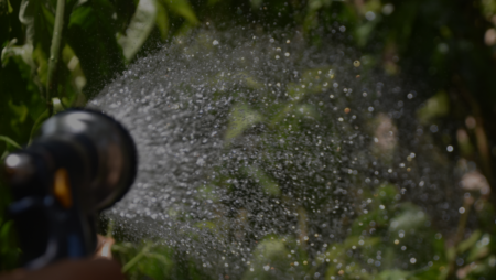 Photo of Tips for Well Water Conservation