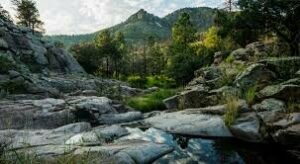 images-300x164  