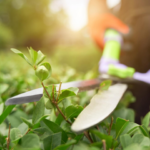 Spring Gardening & Foundation Care Tips for Texas Homeowners