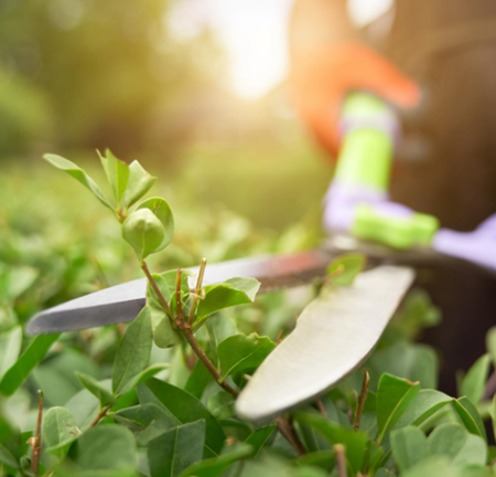 Photo of Spring Gardening & Foundation Care Tips for Texas Homeowners