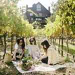 Best Texas Wineries to Visit for Mother’s Day | Hill Country Wine Tour