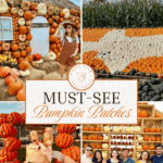 Texas Hill Country Pumpkin Trail!