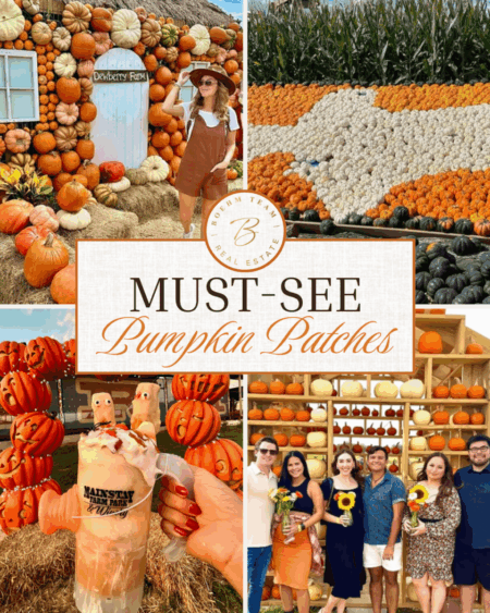 Photo of Texas Hill Country Pumpkin Trail!